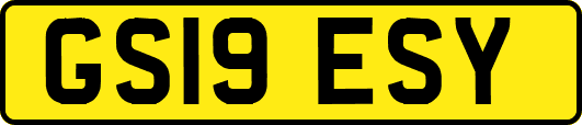 GS19ESY
