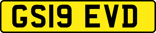 GS19EVD