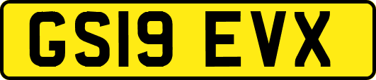 GS19EVX