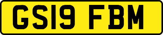 GS19FBM