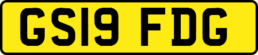 GS19FDG