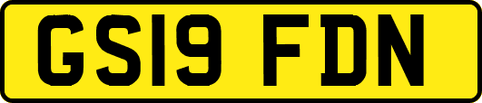 GS19FDN