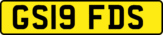 GS19FDS