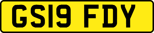 GS19FDY