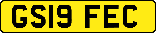 GS19FEC