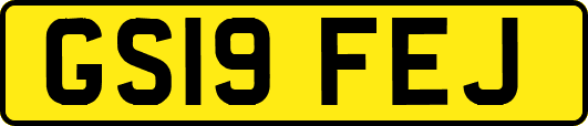 GS19FEJ