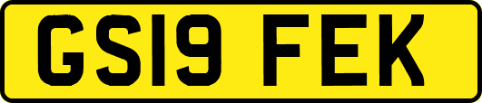GS19FEK