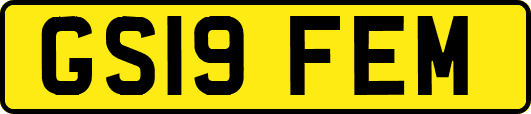 GS19FEM