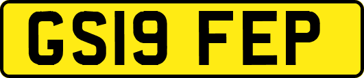 GS19FEP
