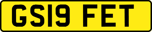 GS19FET