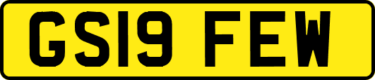 GS19FEW