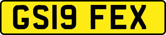 GS19FEX