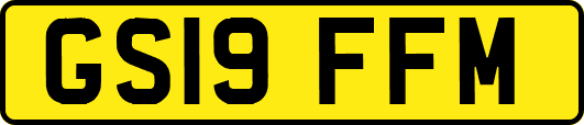 GS19FFM