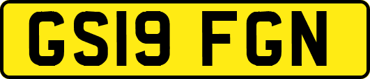 GS19FGN