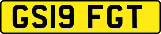 GS19FGT