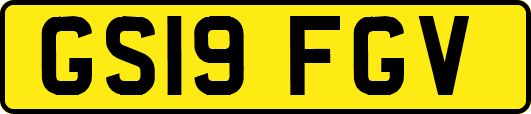 GS19FGV
