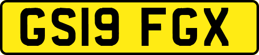 GS19FGX