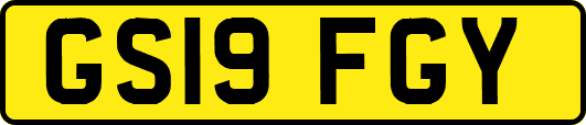 GS19FGY