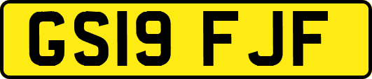 GS19FJF