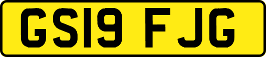 GS19FJG