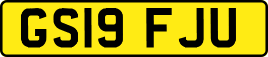 GS19FJU