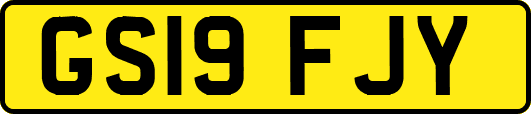 GS19FJY