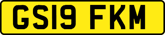 GS19FKM