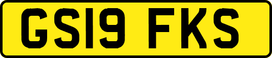 GS19FKS