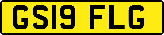 GS19FLG