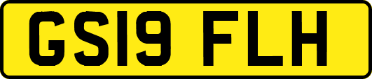 GS19FLH