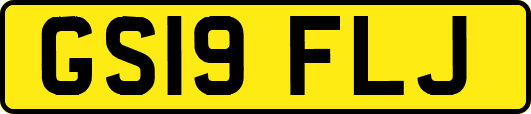 GS19FLJ