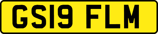 GS19FLM