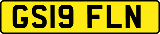 GS19FLN