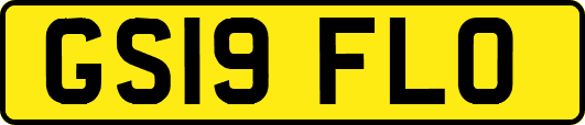 GS19FLO