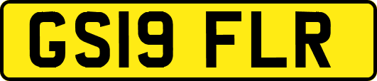 GS19FLR