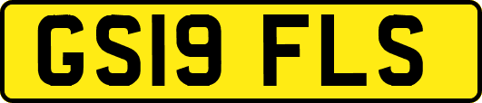 GS19FLS