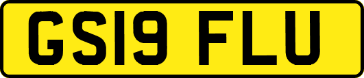 GS19FLU