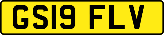 GS19FLV