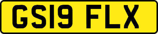 GS19FLX