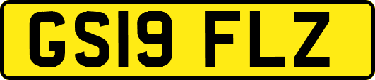 GS19FLZ
