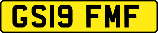 GS19FMF