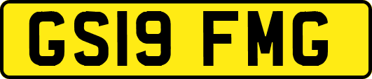 GS19FMG