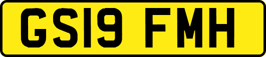 GS19FMH