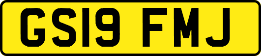 GS19FMJ