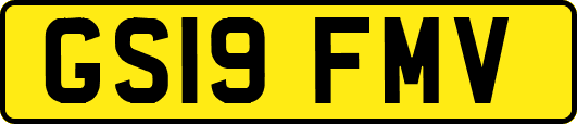 GS19FMV