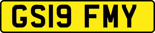 GS19FMY
