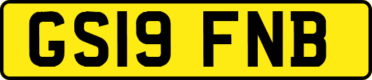 GS19FNB