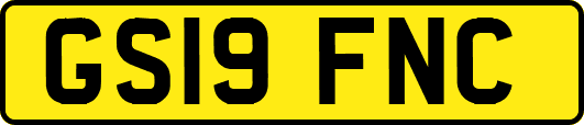 GS19FNC