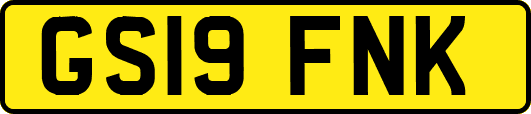 GS19FNK