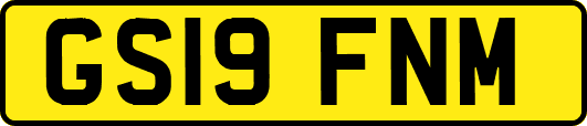 GS19FNM
